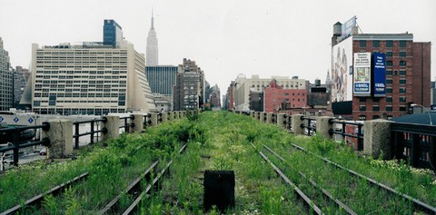 Joel Sternfeld