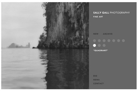 Sally Gall